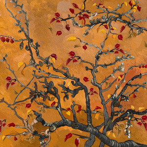 日韩中老年妇女性生活视频
