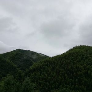 日韩中老年妇女性生活视频
